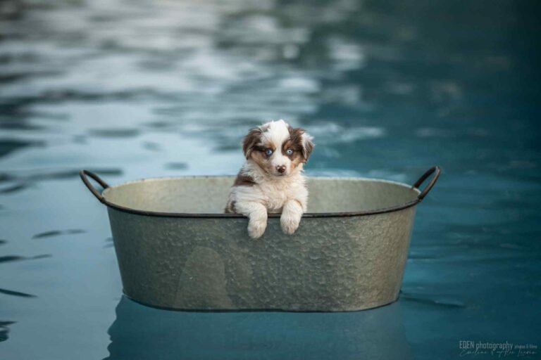 WhatsApp Image 2025-08-30 at 12.53.41