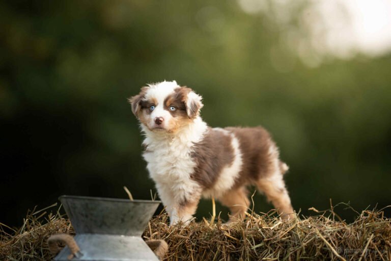 att.TCsiDqcPPX03lnrD19U717egW8E9m5BohZAwAX71Vms (1)