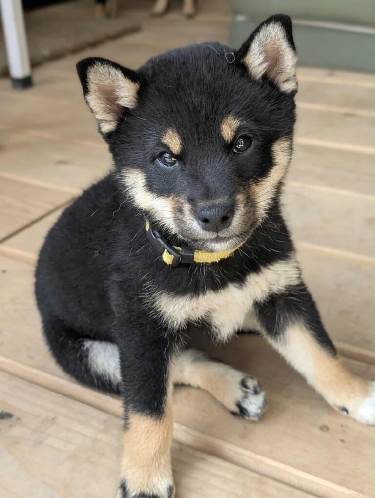 att.lRgqFGBwl0959zDwRnX3TsDid3M5gtqMZA14jWbIp80